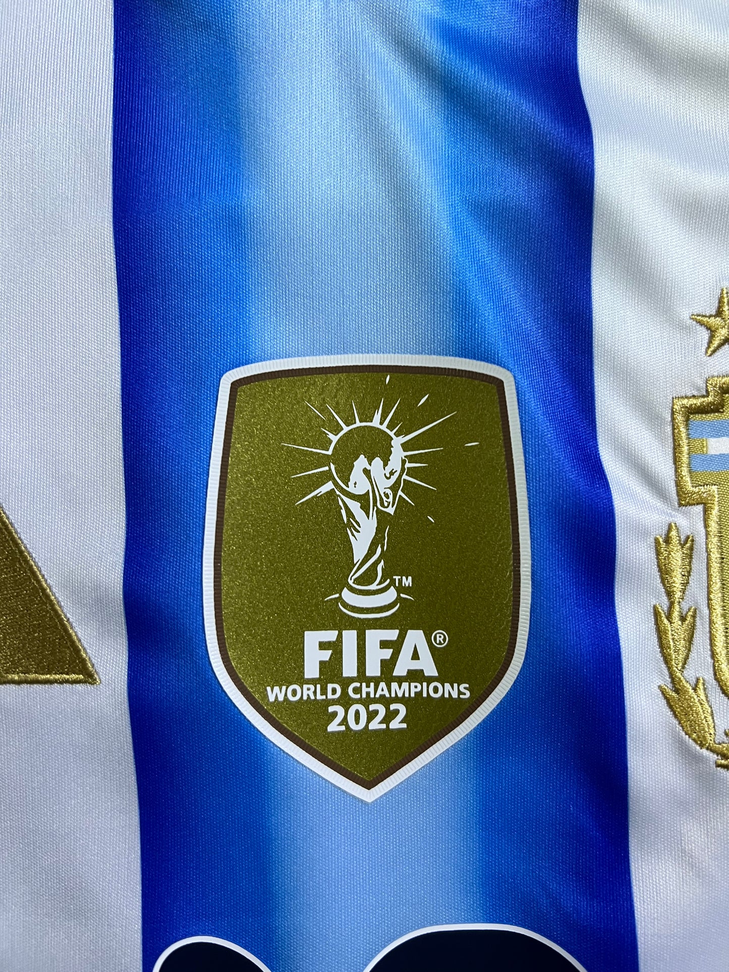 Camisa Argentina  l 2026- Messi#10 - Torcedor | FutMantos