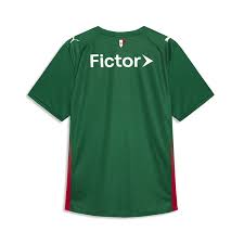 Camisa Palmeiras I 26/27 - Torcedor | FutMantos