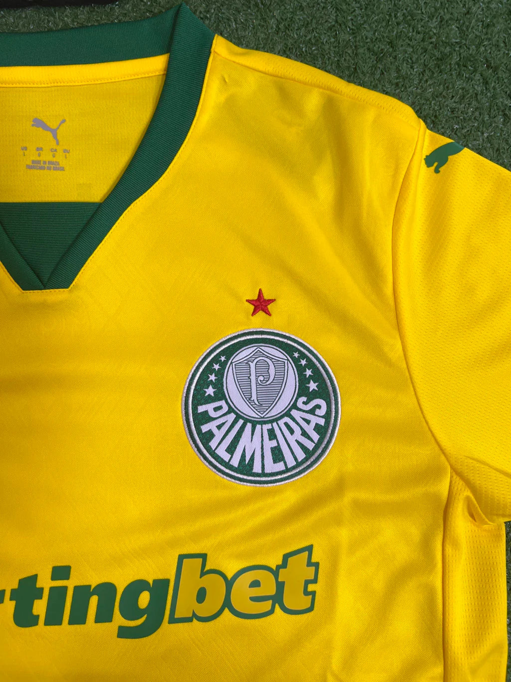 Camisa Palmeiras 25/26 Torcedor | FutMantos