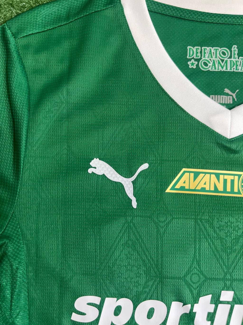 Camisa Palmeiras Verde Jogador 25/26 | FutMantos