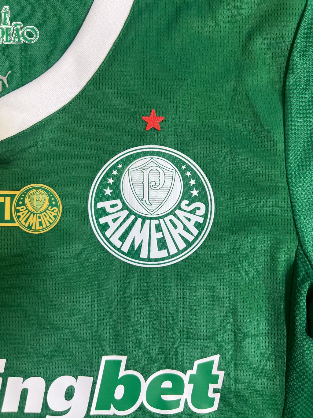 Camisa Palmeiras Verde Jogador 25/26 | FutMantos